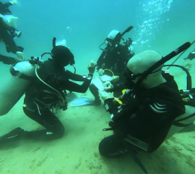 camel diving scuba instructor dahab PADI red sea egypt