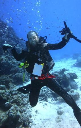 camel diving scuba instructor dahab PADI red sea egypt