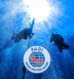 camel diving scuba instructor dahab PADI red sea egypt