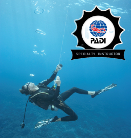 camel diving scuba instructor dahab PADI red sea egypt