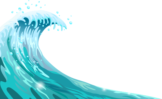 camel diving scuba instructor dahab PADI red sea egypt