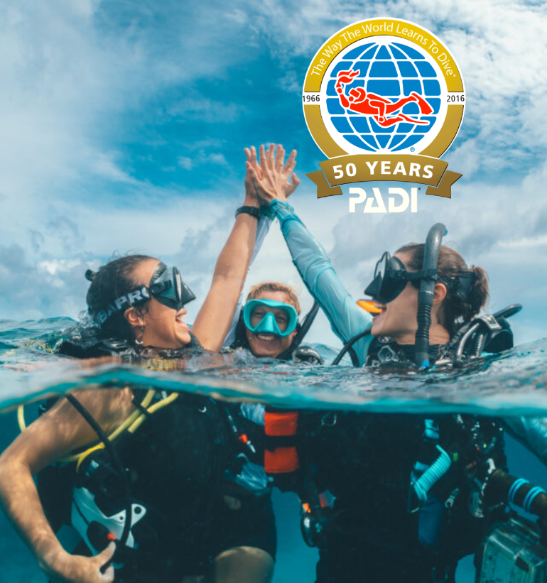 camel diving scuba instructor dahab PADI red sea egypt