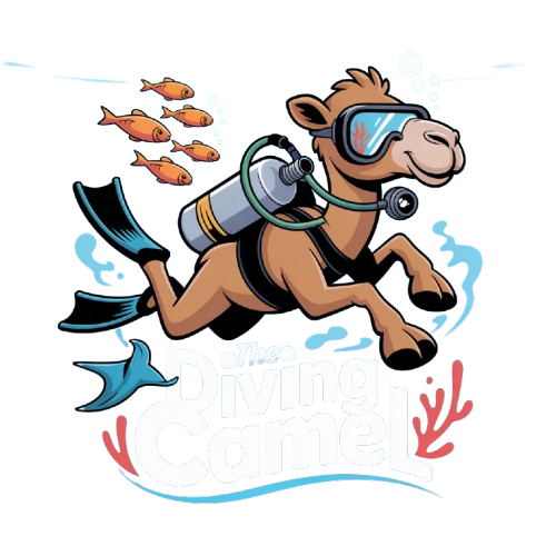 The Diving Camel Logo camel diving scuba instructor dahab PADI red sea egypt