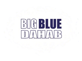 Diving Camel Footer Logo camel diving scuba instructor dahab PADI red sea egypt