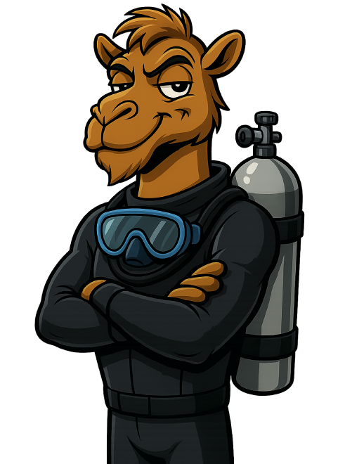 camel diving scuba instructor dahab PADI red sea egypt